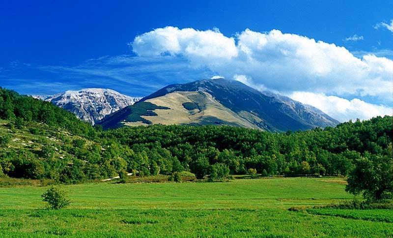 Dolce Risveglio Bed & Breakfast San Valentino in Abruzzo Citeriore Eksteriør bilde
