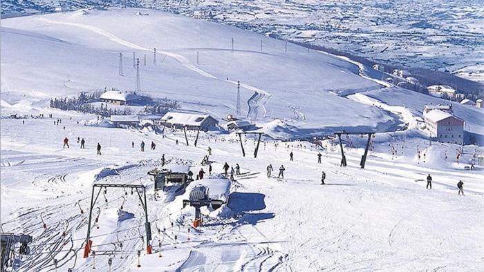 Dolce Risveglio Bed & Breakfast San Valentino in Abruzzo Citeriore Eksteriør bilde