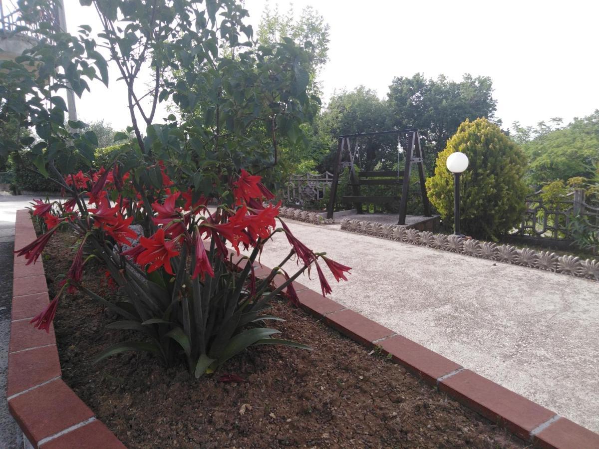 Dolce Risveglio Bed & Breakfast San Valentino in Abruzzo Citeriore Eksteriør bilde