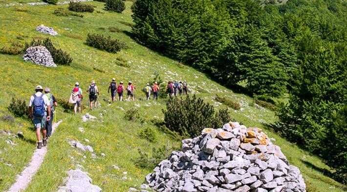 Dolce Risveglio Bed & Breakfast San Valentino in Abruzzo Citeriore Eksteriør bilde