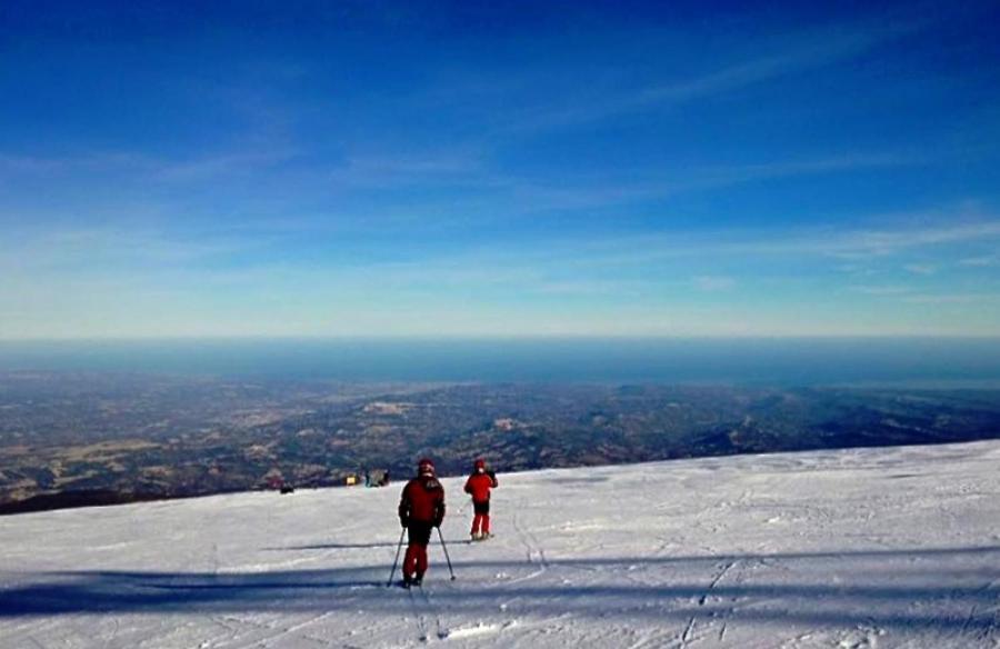 Dolce Risveglio Bed & Breakfast San Valentino in Abruzzo Citeriore Eksteriør bilde